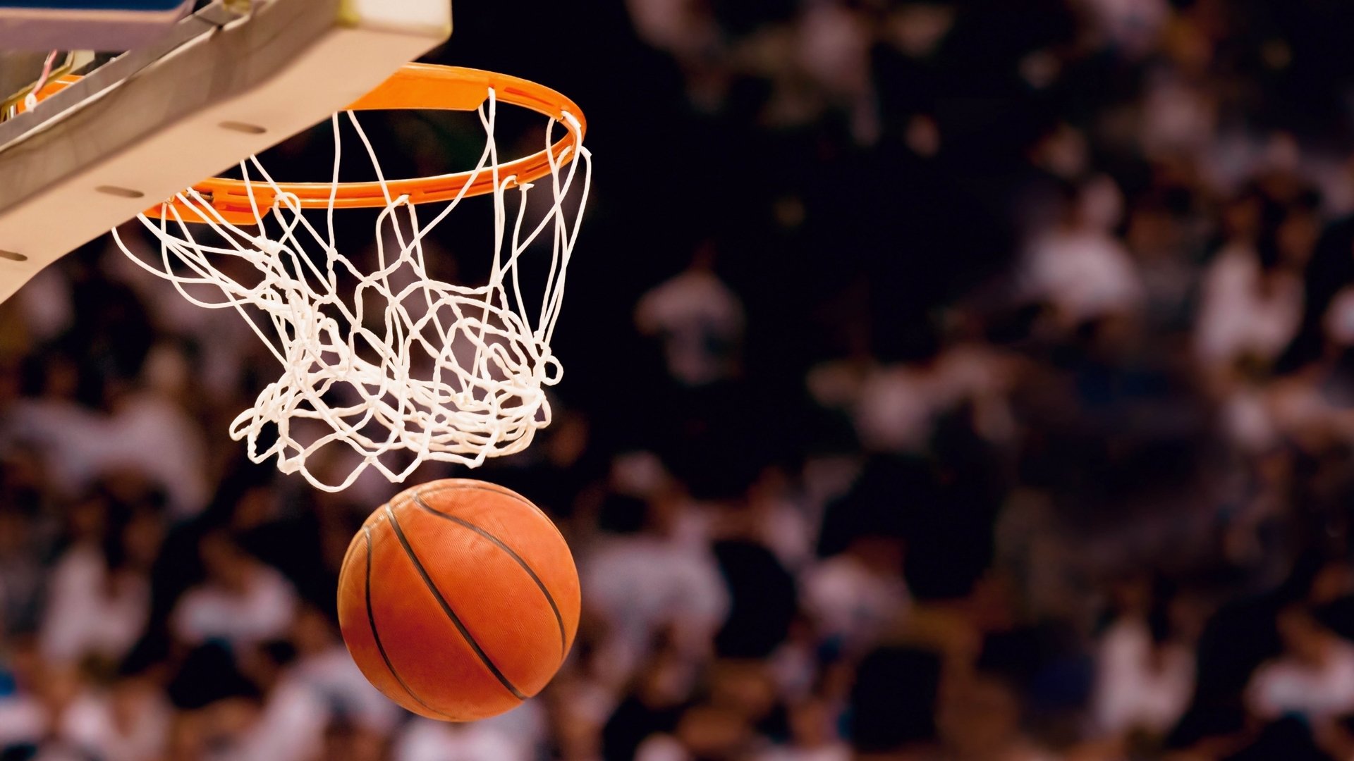 高卢雄鸡撞上波斯尼亚铁骑，法国vs波黑实力全解析与胜负前瞻
